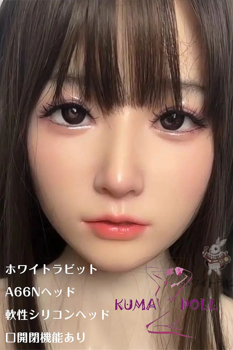 ホワイトラビット A66Nヘッド