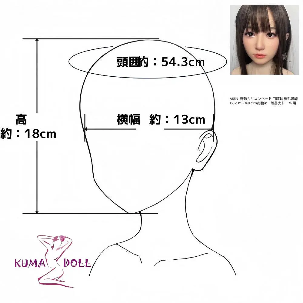 ホワイトラビット A66Nヘッド