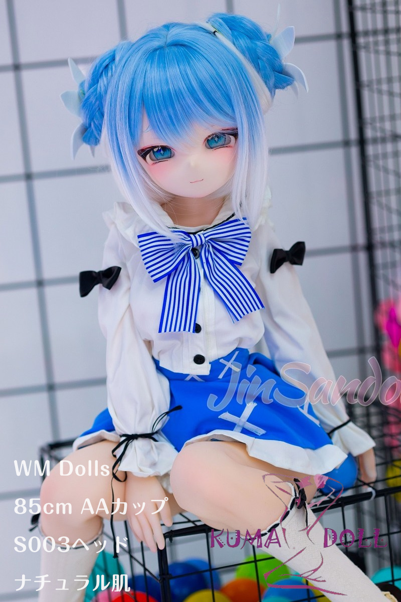 アニメドール ソフトビニール製ヘッド+TPE製ボディ WM Dolls 85cm AAカップ S003ヘッド 水色ツインテール オナホールあり