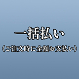 超擬真の肌テクスチャ フルシリコン製ラブドール Real Lady 159cm Hカップ T1ヘッド 等身大リアルドール 水着姿
