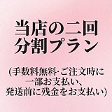Art-doll 150cm Cカップ 佳奈 A6ヘッド フルシリコン製ラブドール アート技研 ダッチワイフ ピンクの透け感ブラ