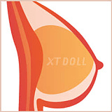 XTDOLL フルシリコン製ラブドール 165cm Eカップ Lunaヘッド（XT-bys12）知的お姉さん系等身大ドール