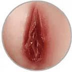 XTDOLL フルシリコン製ラブドール 165cm Eカップ Lunaヘッド（XT-bys12）知的お姉さん系等身大ドール