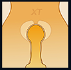 XTDOLL フルシリコン製ラブドール 165cm Eカップ Lunaヘッド（XT-bys12）知的お姉さん系等身大ドール