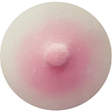 XTDOLL フルシリコン製ラブドール 165cm Eカップ Lunaヘッド（XT-bys12）知的お姉さん系等身大ドール