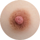 フルシリコン製 FANREAL 168cm Fカップ Ginaヘッド  掲載画像は口開閉付き ラブドール 欧米系 ダッチワイフ 健康美ドール ヨガガール