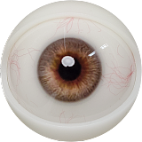 フルシリコン製 FANREAL 168cm Fカップ Ginaヘッド  掲載画像は口開閉付き ラブドール 欧米系 ダッチワイフ 健康美ドール ヨガガール