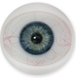 フルシリコン製 FANREAL 168cm Fカップ Ginaヘッド  掲載画像は口開閉付き ラブドール 欧米系 ダッチワイフ 健康美ドール ヨガガール