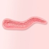 【9/30迄 5%OFFキャンペーン 二つ目ヘッド半額 球型の手関節、植髪半額、足指関節、自立加工等全部無料】FANREAL フルシリコン製 ラブドール ヘッドとボディ組み合わせ自由