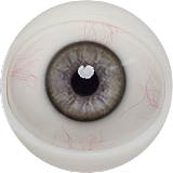 フルシリコン製 FANREAL 168cm Fカップ Ginaヘッド  掲載画像は口開閉付き ラブドール 欧米系 ダッチワイフ 健康美ドール ヨガガール