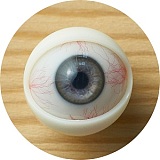 【シリコンボディ選択ページ  10%OFFキャンペーン】My Loli Waifu フルシリコン製 ヘッドとボディ自由に組み合わせ可能 ボディ選択可能 MLWフルシリコンリアルドール