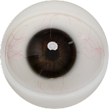 GRACE OF FANREAL フルシリコン製ラブドール 157cm Eカップ 奈央 Z01ヘッド アトリエリメイク JDオシャレ女性 ダッチワイフ