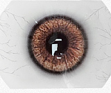 Doll senior 等身大ドール 163cm Fカップ #26 萌音ヘッド  TPE材質ボディー 材質選択可能 ダッチワイフ 掲載画像はフルシリコン製+口開閉機能あり