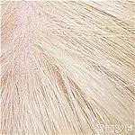 Yearndoll ヘッド単体 頭のみ 口開閉機能&オーラル&模擬口腔付き