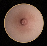 【アートワークカスタム版】TYPEグラビア TOPSINO 162cm Gカップ T1D 米悠 メイク② 唐代の女神 等身大ラブドール フルシリコン製 ダッチワイフ