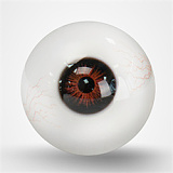 TOP-CYDOLL フルシリコン製ラブドール 176cm Eカップ Elodieヘッド 欧米風ダッチワイフ 高身長ラブドール 掲載画像はROS機能付き