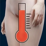 蛍火日記 164cm Ｇカップ 蓮ヘッド  フルシリコン製リアルドール デニムショートパンツ 巨乳 アダルト エロ