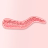 GRACE OF FANREAL フルシリコン製ラブドール 168cm Fカップ 桜子（さくらこ） Z02ヘッド アトリエリメイク 大人女性リアルドール