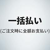 GRACE OF FANREAL フルシリコン製ラブドール 168cm Fカップ 桜子（さくらこ） Z02ヘッド アトリエリメイク 大人女性リアルドール