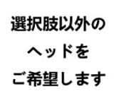 Real Girl (A工場製)ラブドール  L3ヘッド お口の開閉可能 ヘッド単体 シリコン材質 M16ジョイント