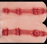 【RRS+版】TOPSINO 162cm Gカップ TYPEグラビア T21 米葵（mikui）ヘッド フルシリコン製 ラブドール 等身大ダッチワイフ