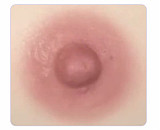 BQDOLL 新しいボデイ 160cm Fカップ 軽量化 29kg 伴趣はんしゅ B10 小舞（xiaowu） フルシリコン材質ラブドール ゴシック風