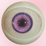 【10%OFF 9/20迄】アート技研(Art-doll) NOVAシリーズ 148cm Dカップ 维多利亚Victoria シリコン製ヘッド＋TPEボディ 欧米風ダッチワイフ