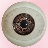 【10%OFF 9/20迄】アート技研(Art-doll) NOVAシリーズ 148cm Dカップ 维多利亚Victoria シリコン製ヘッド＋TPEボディ 欧米風ダッチワイフ