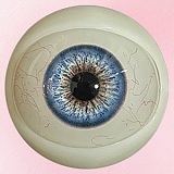 【10%OFF 9/20迄】アート技研(Art-doll) NOVAシリーズ 148cm Dカップ 维多利亚Victoria シリコン製ヘッド＋TPEボディ 欧米風ダッチワイフ