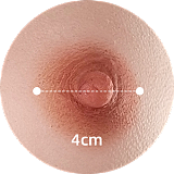 【10/4迄 10％オフ！！新作販売】フルシリコン製ラブドール Irontech Doll 東方シリーズ 153cm Fカップ A3ヘッド りなLina アジア風リアルドール ROS-MAX機能付き