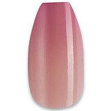 【10/4迄 10％オフ！！新作販売】フルシリコン製ラブドール Irontech Doll 東方シリーズ 153cm Fカップ A3ヘッド りなLina アジア風リアルドール ROS-MAX機能付き