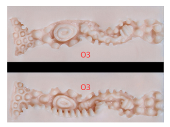 支配のクイーン デザイン
