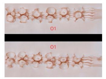 処女のキス デザイン