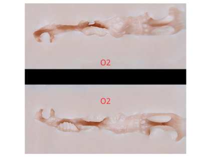 妖狐の小悪魔 デザイン