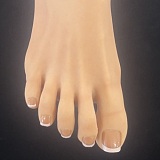 【10%OFF 9/20迄】アート技研(Art-doll) NOVAシリーズ 148cm Dカップ 维多利亚Victoria シリコン製ヘッド＋TPEボディ 欧米風ダッチワイフ