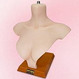 【10%OFF 9/20迄】アート技研(Art-doll) NOVAシリーズ 148cm Dカップ A6 安室 奈美ヘッド エメラルドのような瞳 シリコン製ヘッド＋TPEボディ 欧米風リアルドール