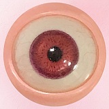 【10%OFF 9/20迄】アート技研(Art-doll) NOVAシリーズ 148cm Dカップ A6 安室 奈美ヘッド エメラルドのような瞳 シリコン製ヘッド＋TPEボディ 欧米風リアルドール