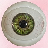 【10%OFF 9/20迄】アート技研(Art-doll) NOVAシリーズ 148cm Dカップ A6 安室 奈美ヘッド エメラルドのような瞳 シリコン製ヘッド＋TPEボディ 欧米風リアルドール