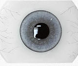 Doll senior 等身大ドール 170cm Hカップ #27凛纱(Linsha) 掲載画像はフルシリコン製 うさぎ娘ダッチワイフ