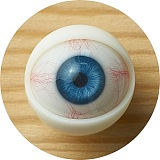 My Loli Waifu 148cm Bカップ #109すず（Suzu）ヘッド 略称MLW ロり系ラブドール TPE材質ボディー ヘッド材質選択可能 癒しの妻