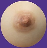 MMXDOLL（木木夕）シリコン製 90cm Bカップ 小夢涵(menghan)ヘッド 大人っぽさが際立つラブドール ヘッド取り外しタイプ