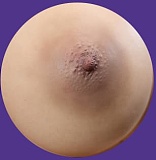 MMXDOLL（木木夕）シリコン製 90cm Bカップ 小夢涵(menghan)ヘッド 大人っぽさが際立つラブドール ヘッド取り外しタイプ