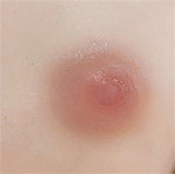 J-cute 唯ヘッド 笑い顔 133cm貧乳 ピンク猫耳リアルドール 清らかな美少女のセックスドール 宣材写真は高級フルシリコンダッチワイフ