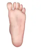 フルシリコン製 FUDOLL ラブドール 148cm Dカップ 環奈ヘッド 伏し目可愛いブラウンヘア美少女ドール 口開閉機能+リアル口腔付き