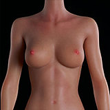 【1.31迄セール！ 足指関節＋ゼリーお尻付属、MSシリーズ専属付属品も!!!】BCDOLL  【MSシリーズ】　M01 ヘッド 135cm-D 清楚系和風コーデの美少女ラブドール オーラル機能付き シリコン製 レムコス