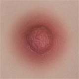 Yearndoll ラブドール 135cm Dカップ LZ02ヘッド 猫耳ピンクヘア 二次元ラブドール フルシリコン製