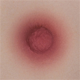 Yearndoll ラブドール 135cm Dカップ LZ02ヘッド 猫耳ピンクヘア 二次元ラブドール フルシリコン製