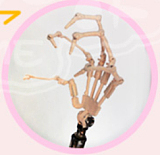 【ヘッドとボディ＆衣装を自由に組合せ】JSL DOLL 85cm ソフトビニールヘッドとボディ素材が選択可能 二次元美少女ラブドール 可愛らしい美少女ドール 宣伝画像と同じ衣装も付属