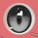 Elsa Babe 130cm巨乳 RAD054 莓谷恋Ichigotani Koi 二次元 アニメラブドール ナイスボディーと魅力的な美少女ドール カスタマイズ可