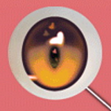 Elsa Babe 130cm巨乳 RAD054 莓谷恋Ichigotani Koi 二次元 アニメラブドール ナイスボディーと魅力的な美少女ドール カスタマイズ可